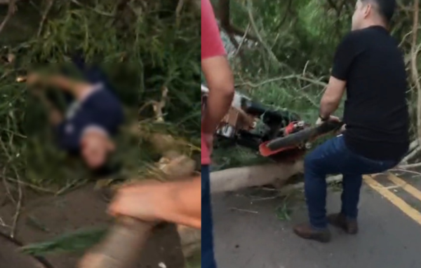 ÁRBOL CAYÓ SOBRE MOTOCICLISTA TRAS TEMPORAL