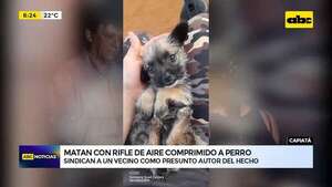 Video: Matan con rifle de aire comprimido a un perro  - ABC Noticias - ABC Color