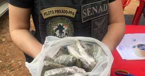 Diario HOY | Desmantelan un “narcoburdel” en Alto Paraná