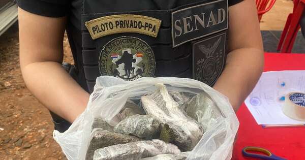Diario HOY | Desmantelan un “narcoburdel” en Alto Paraná
