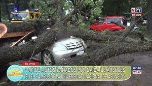 Árboles caídos destruyen vehículos en el campus de la UNA