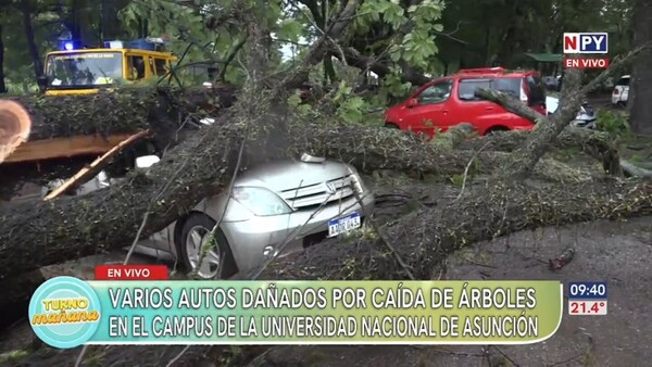 Árboles caídos destruyen vehículos en el campus de la UNA