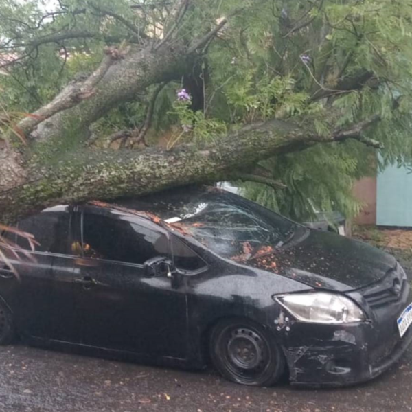 CONDUCTOR DE BOLT QUISO HACERSE DEL VALIENTE, PERO PERDIÓ