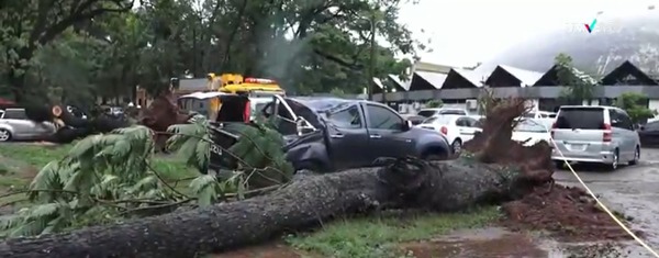 Fuertes vientos tumban árboles y destruyen varios vehículos en el campus de la UNA - ADN Digital
