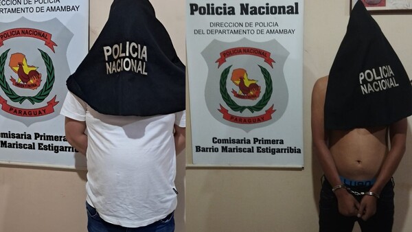Patrón y empleado se reventaron a golpes y fueron a parar a la comsiaría