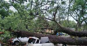 Diario HOY | Árboles caídos tras la tormenta dejan 7 vehículos destruidos en campus de la UNA