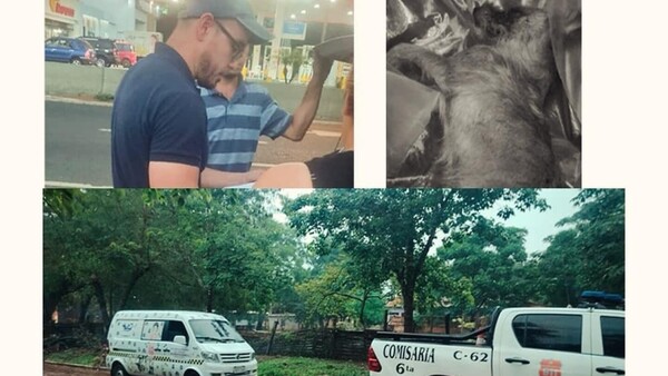 Justicia para Toto: Hombre mató de un disparo al perro de su vecina