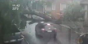 Viernes tormentoso: vehículos afectados por fuertes vientos y lluvia - SNT