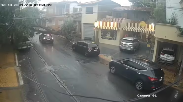 Conductor intentó pasar debajo de un árbol caído y quedó atrapado