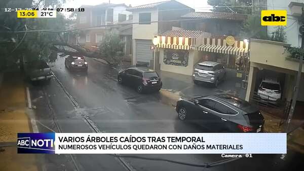 Temporal causó estragos: árboles caídos y varios vehículos dañados - ABC Noticias - ABC Color