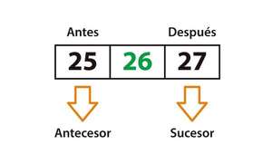 Antecesor y sucesor - Matemática Primer Ciclo - ABC Color