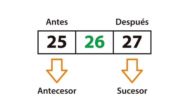 Antecesor y sucesor - Matemática Primer Ciclo - ABC Color