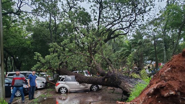 Tormenta en la UNA deja vehículos destruidos