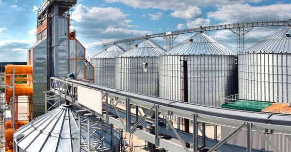 La Nación / Industria aceitera destaca interés en lograr admisión temporaria de la soja