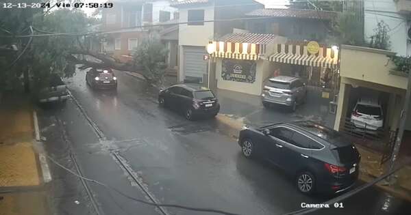 Diario HOY | Reportan 40 árboles caídos en Asunción tras el temporal