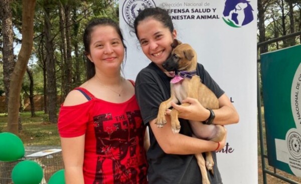 Nueva ley de protección animal establece penas más fuertes
