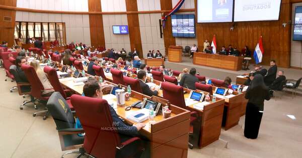 La Nación / Diputados analizará RUN, modificación a Mipymes, estatuto de IPS y Servicio Civil en última sesión
