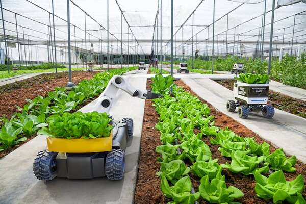 Tendencias futuras en la agricultura de precisión: qué tecnologías esperar en la próxima década - Tecnología - ABC Color