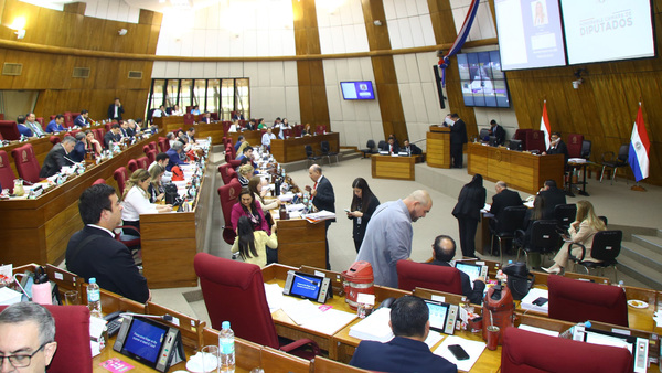 Diputados decidirán sobre jubilación y tren