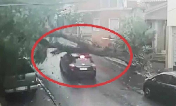 “No voy ko a ser tan imbécil de atropellar el árbol” – Prensa 5