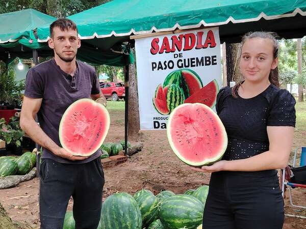 Fiesta Nacional de la Sandía: Las más dulces sandías de Paso Güembé están disponibles en los mercados - Economía - ABC Color