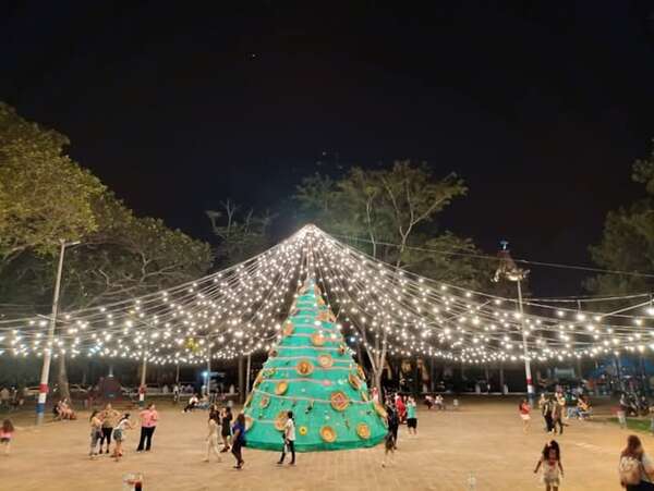 Pilar enciende la magia de la Navidad con un árbol artesanal único - Nacionales - ABC Color