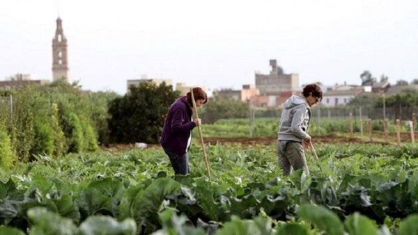 Agroalimentación española recibe con protestas y plazos inciertos el acuerdo UE-Mercosur