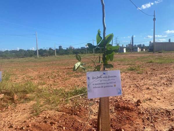 “Qué linda sería Asunción si aparecieran los G. 500 mil millones”: jóvenes se plantan contra “Nenecho” - Nacionales - ABC Color
