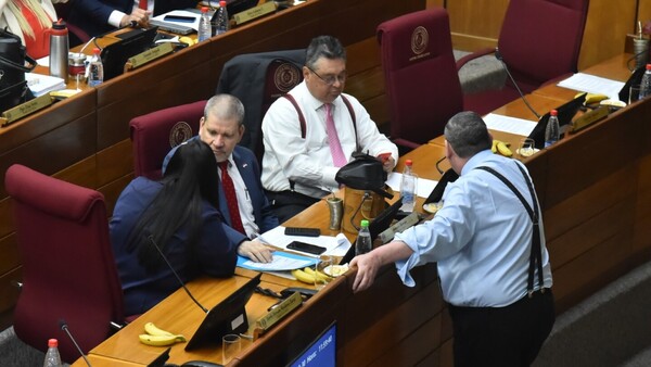 Lilian responde al abdismo y afirma que es la “chofer” de la disidencia