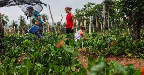 Presentarán acciones para impulsar el sector orgánico y agroecológico en Paraguay