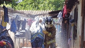 Káva la reina mató a 6 mascotas y picó a personas en un inquilinato