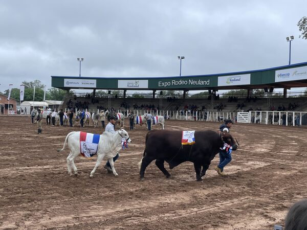 Confirman apertura de México a la carne paraguaya
