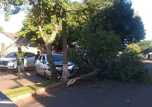 Conductor embistió con columna de la ANDE y derribó un árbol sobre la calle Tte. Herreros