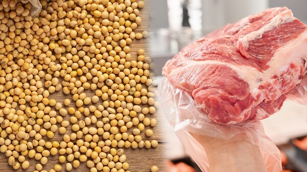 Complejo sojero y carne movieron más de USD 5.700 millones en exportación a noviembre - MarketData