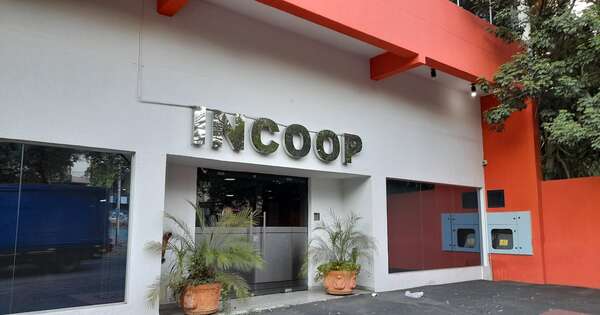 La Nación / Sector cooperativo cierra un 2024 positivo con buenas proyecciones para el próximo año