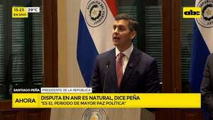 Peña sobre conflicto en carpas coloradas : “es natural que hayan pujas” - ABC Noticias - ABC Color