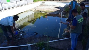 Municipalidad interviene piscina abandonada en Asunción