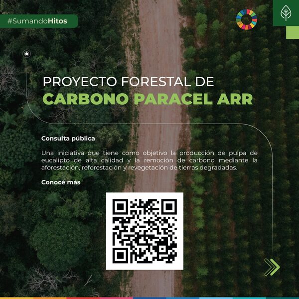 Paracel abre consultas públicas para su Proyecto Forestal de Carbono