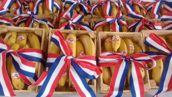 Tembiaporã exporta bananas a la Argentina y Uruguay por valor de USD 36 millones • RADIO NACIONAL