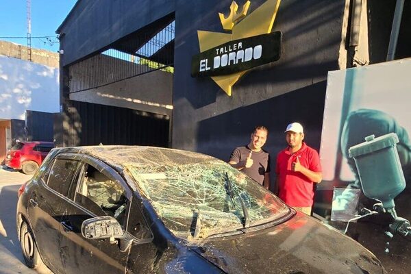 (VIDEO). Taller reparará el rodado del “chofer del año” que quiso pasar por debajo de un árbol