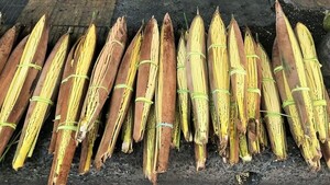 La Flor de Coco: Un Símbolo Emblemático de la Navidad Paraguaya