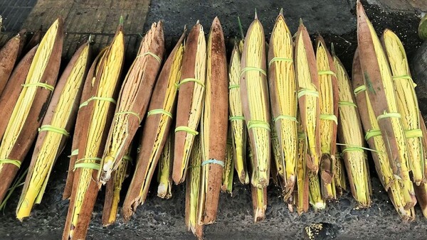La Flor de Coco: Un Símbolo Emblemático de la Navidad Paraguaya