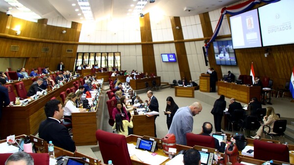 Amputada ley de servicio civil y el RUN deben tratar diputados