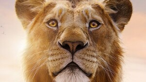 El Rey León vuelve a los cines: Así es la apuesta navideña de Disney, según su director