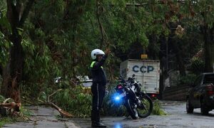 No más coimas, zorros usarán cámaras corporales