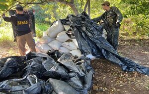 Anulan centros de acopio del narcotráfico con más de 2 toneladas de marihuana en Canindeyú - .::Agencia IP::.