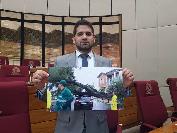 Gobierno de Peña “emula” a protagonista de “no voy ko a ser tan imbécil de atropellar” - Política - ABC Color