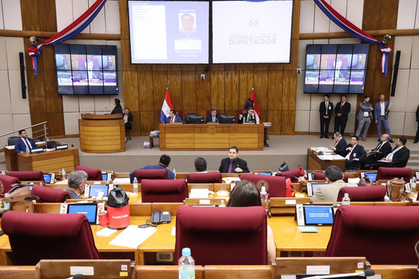 Diputados aprueba modificación de varios artículos y amplía Ley de Mipymes - 1000 Noticias