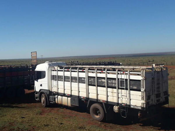 Transportistas de mercaderías instan a impulsar su importancia en la economía - 1000 Noticias