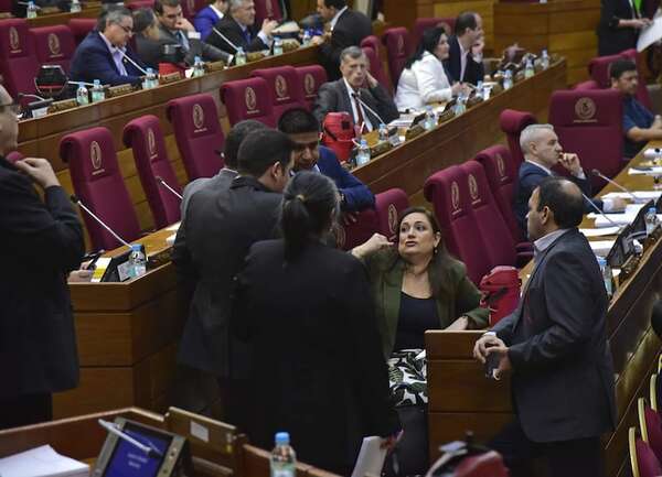 Bochornoso: Diputados cartistas bastardean ley del Servicio Civil con reformas presentadas minutos antes - Política - ABC Color